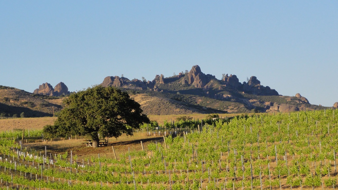 Photo of Others in Soledad