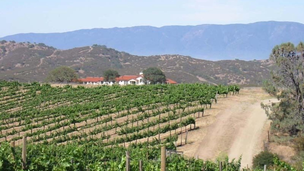Photo of Others in Soledad