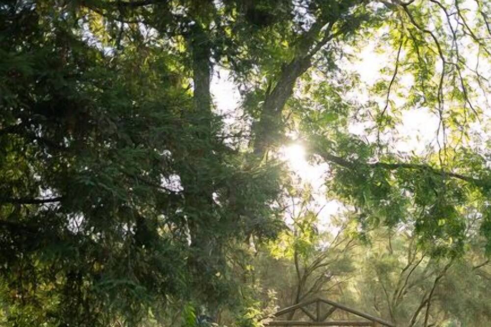 Photo of Outdoor in Orangevale