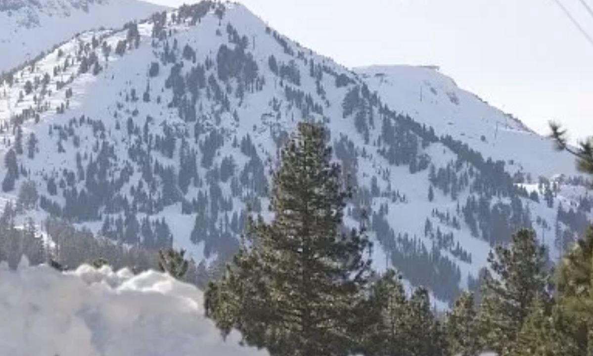Photo of Others in Mammoth Lakes