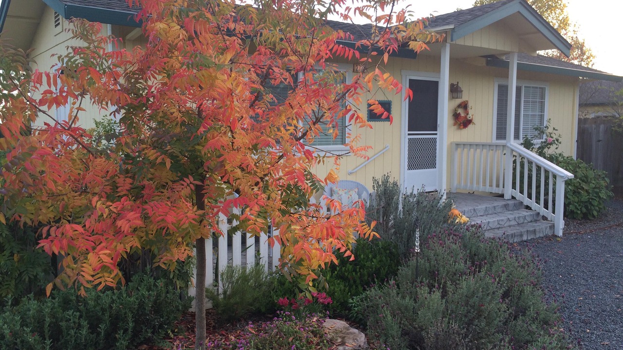 Photo of Outdoor in Santa Rosa
