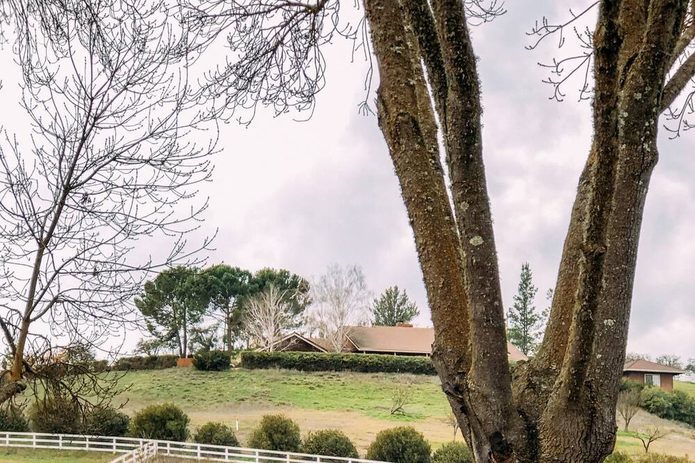 Photo of Outdoor in Templeton