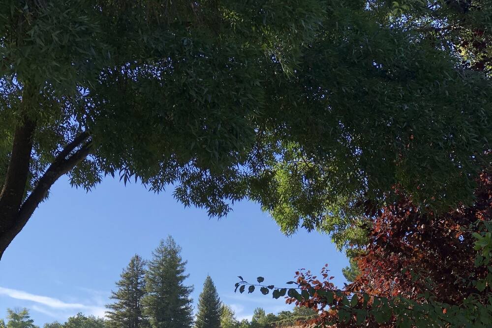 Photo of Outdoor in Templeton
