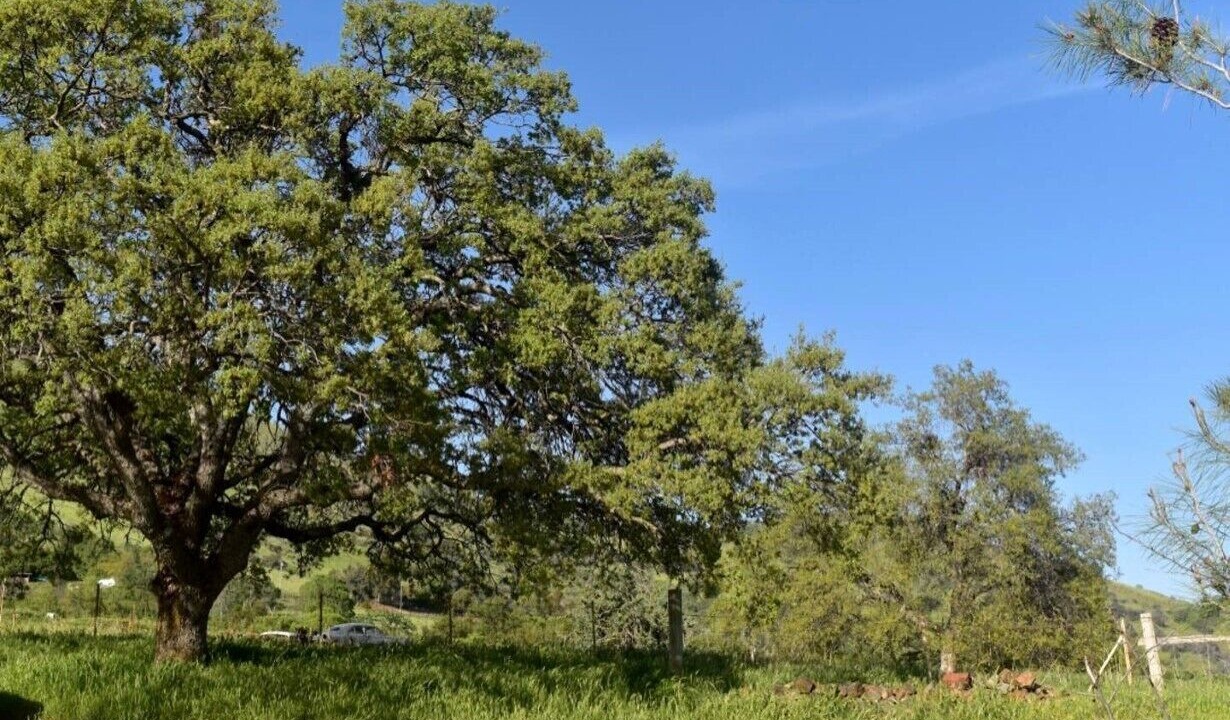 Photo of Outdoor in Squaw Valley