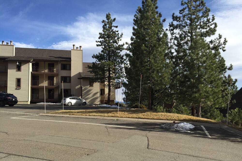 Photo of Others in Tahoe Village