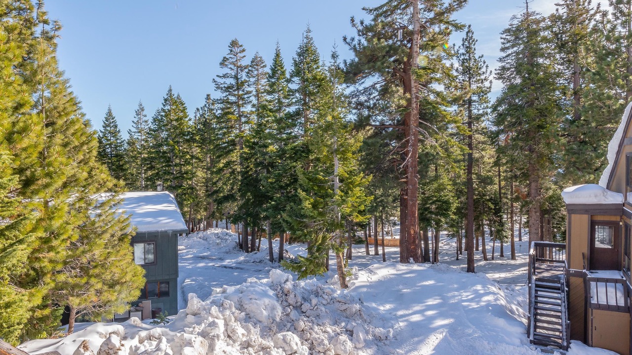 Photo of Others in Majestic Pines
