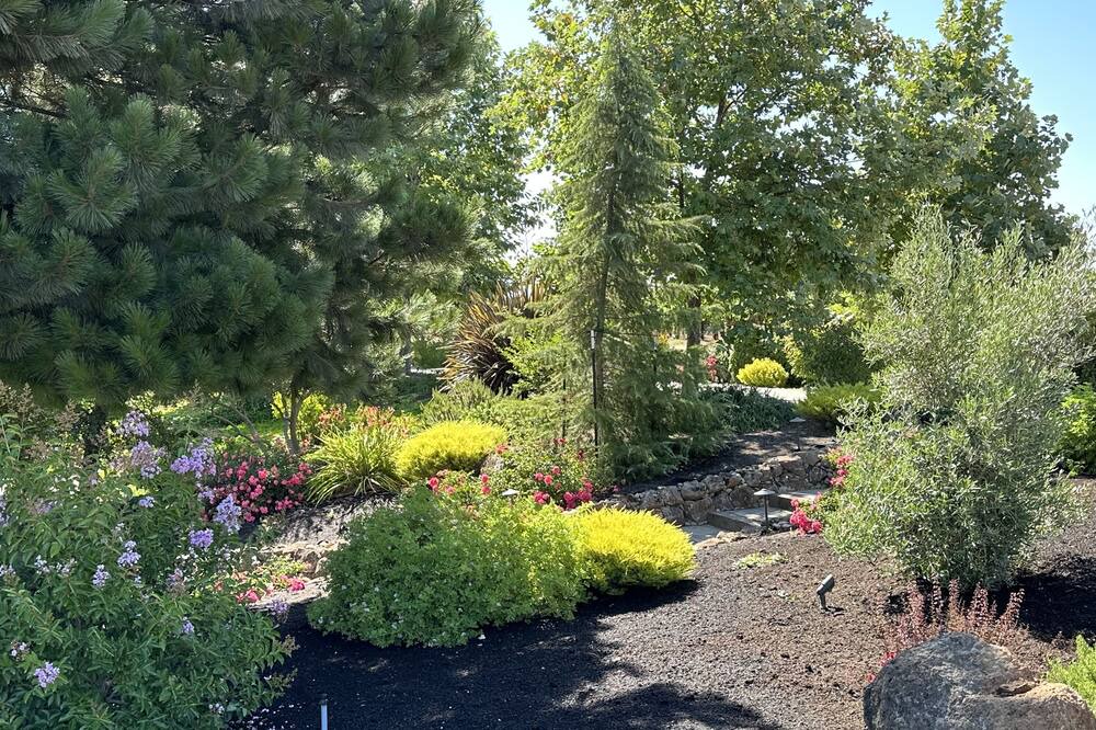 Photo of Outdoor in Victor