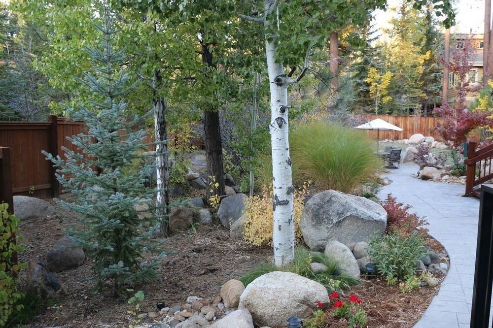 Photo of Outdoor in Incline Village