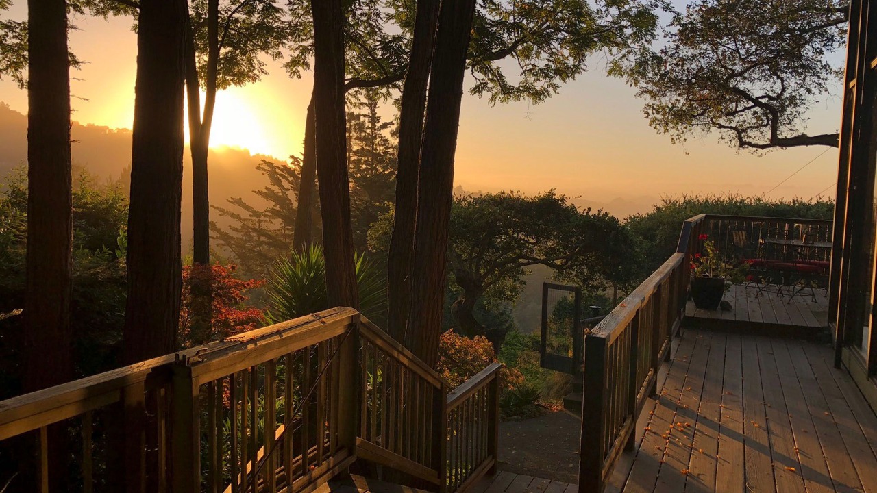 Photo of Outdoor in Mill Valley