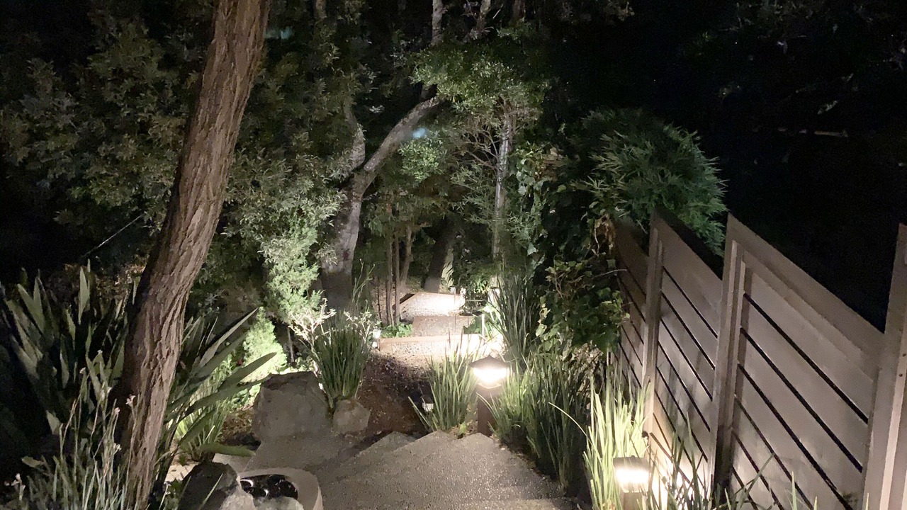 Photo of Outdoor in Mill Valley