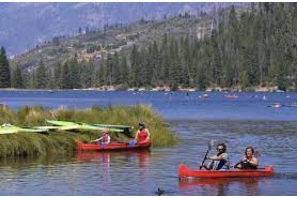 Photo of Outdoor in Hume