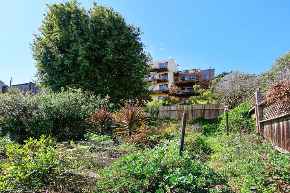 Photo of Outdoor in Noe Valley