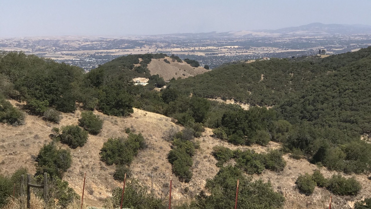 Photo of Others in Paso Robles