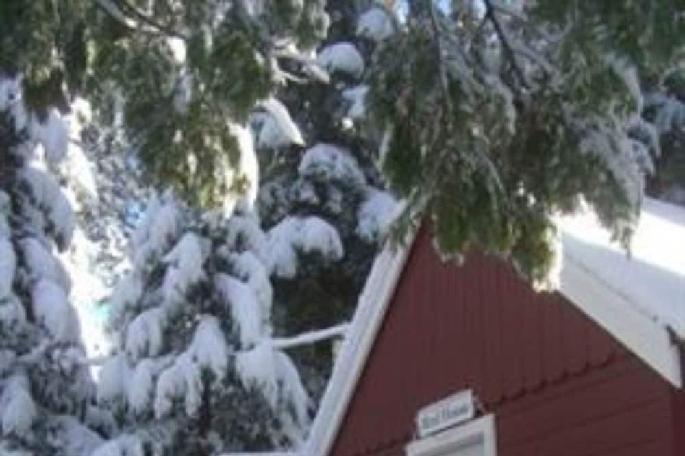 Photo of Bedroom in Tahoma