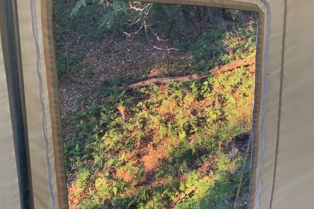 Photo of Others in Los Gatos