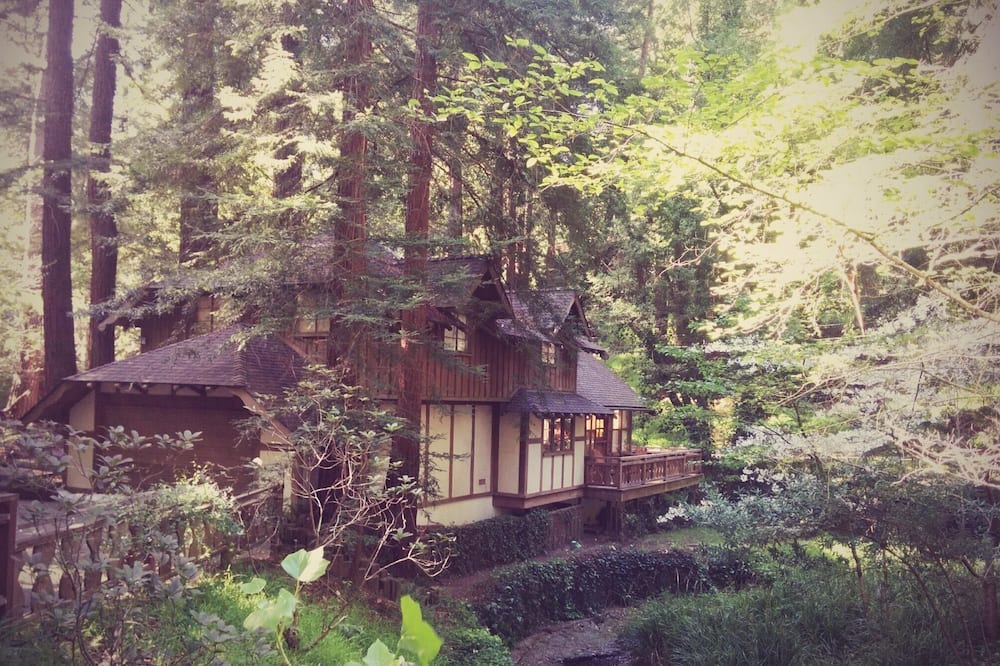 Photo of Outdoor in Mill Valley