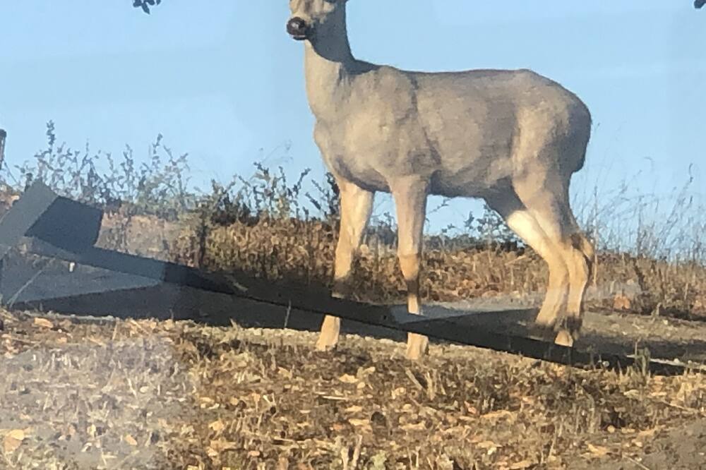 Photo of Others in Arroyo Grande
