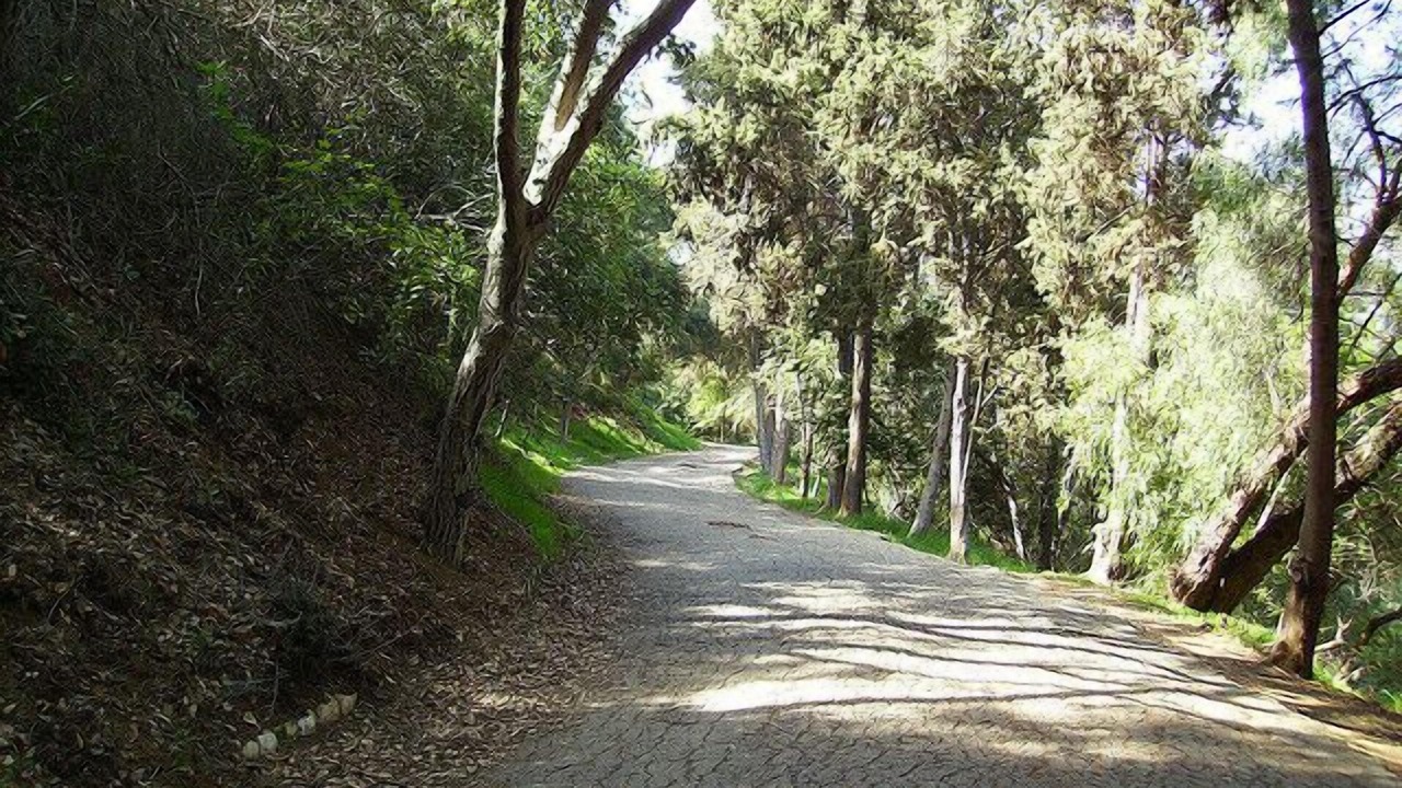Photo of Outdoor in Studio City