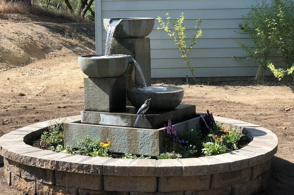 Photo of Outdoor in Badger
