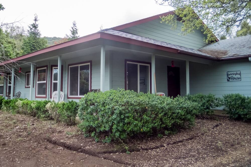 Photo of Outdoor in Badger