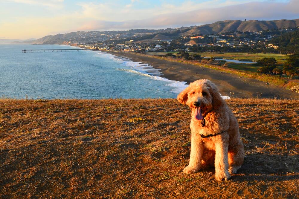 Photo of Outdoor in Park Pacifica