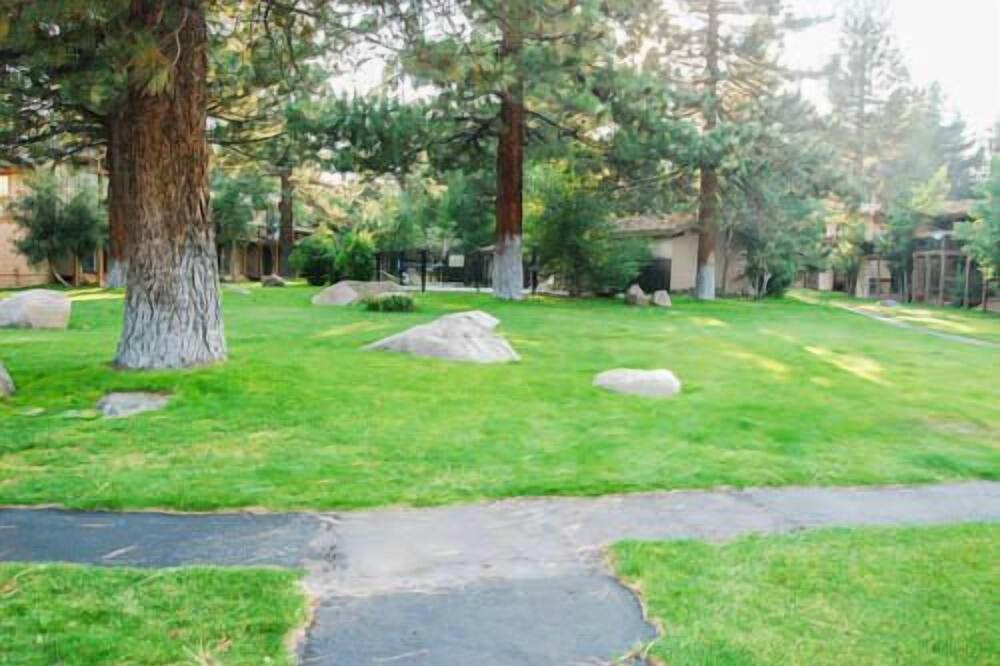 Photo of Outdoor in Mammoth Lakes
