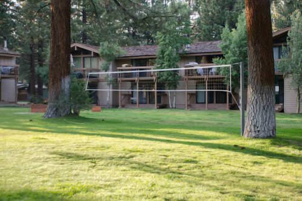 Photo of Others in Mammoth Lakes