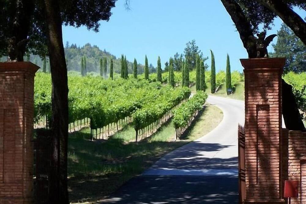 Photo of Others in Napa