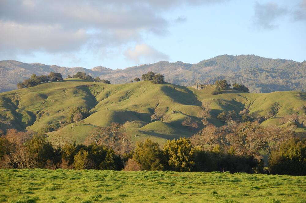 Photo of Others in Napa