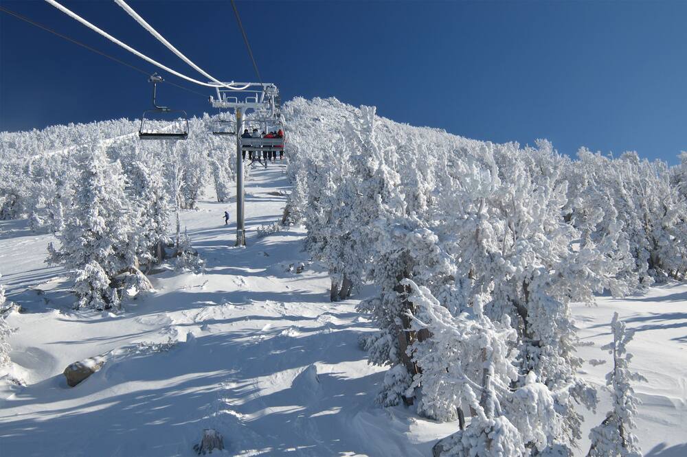 Photo of Others in Incline Village