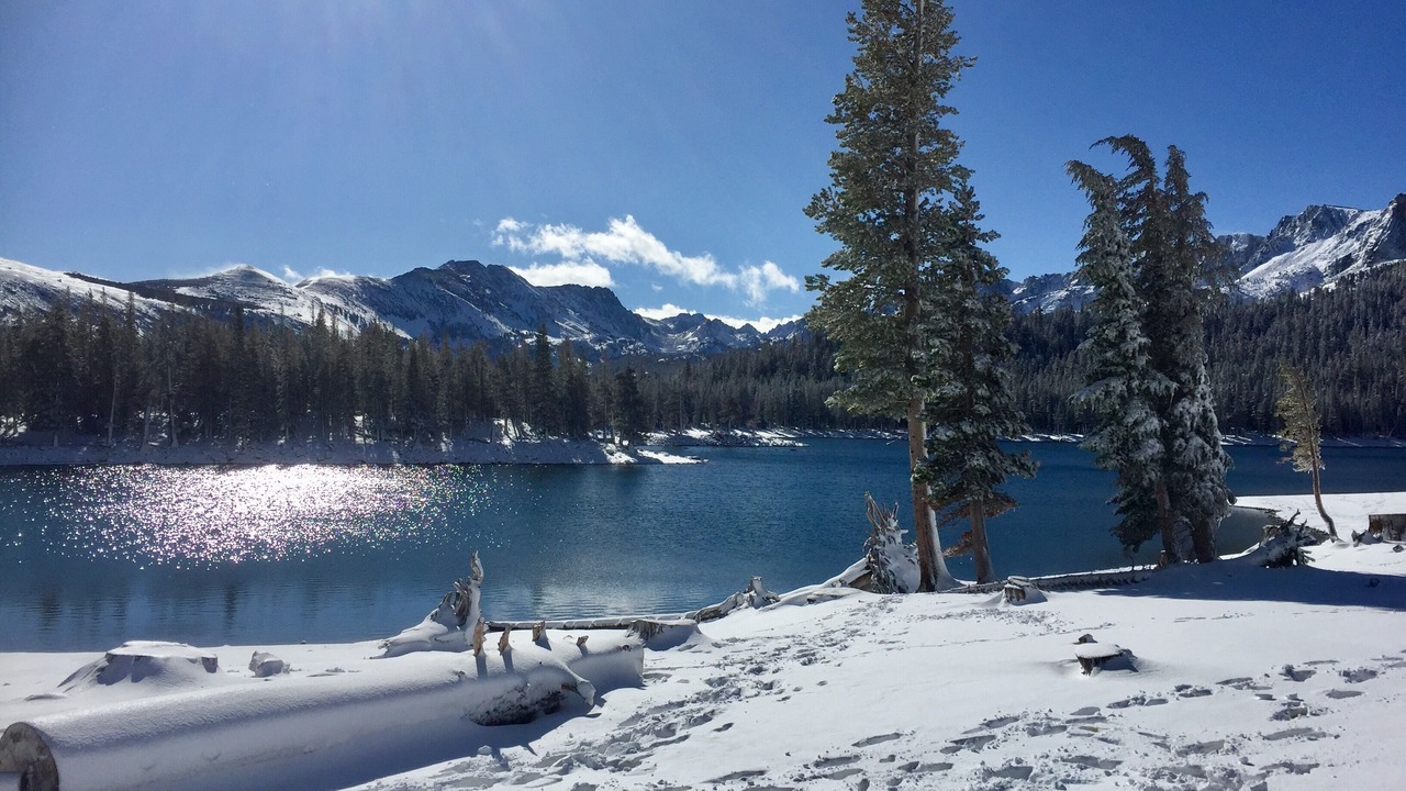Photo of Others in Mammoth Lakes