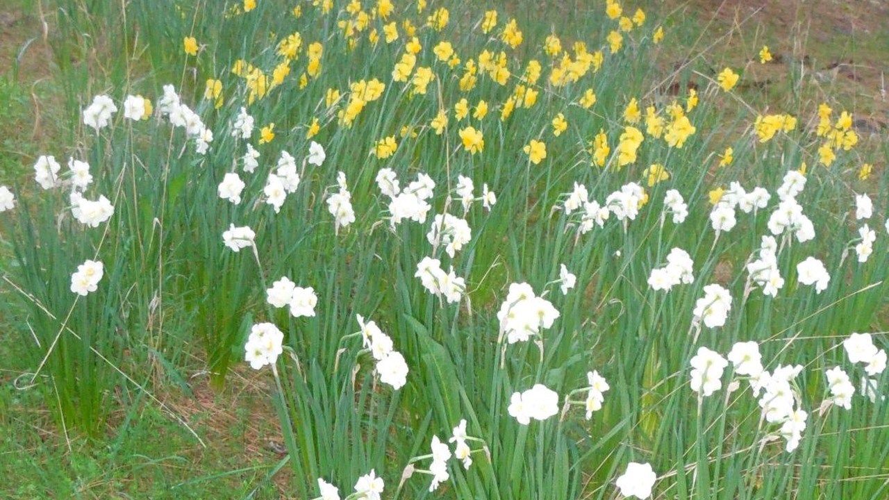 Photo of Outdoor in Coulterville