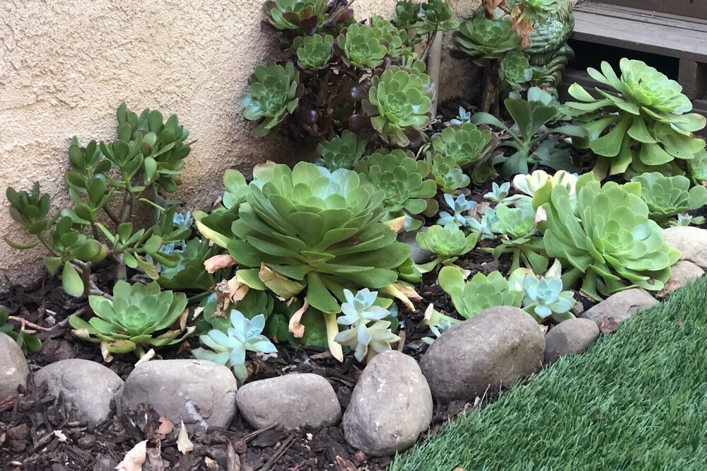 Photo of Outdoor in Oak View