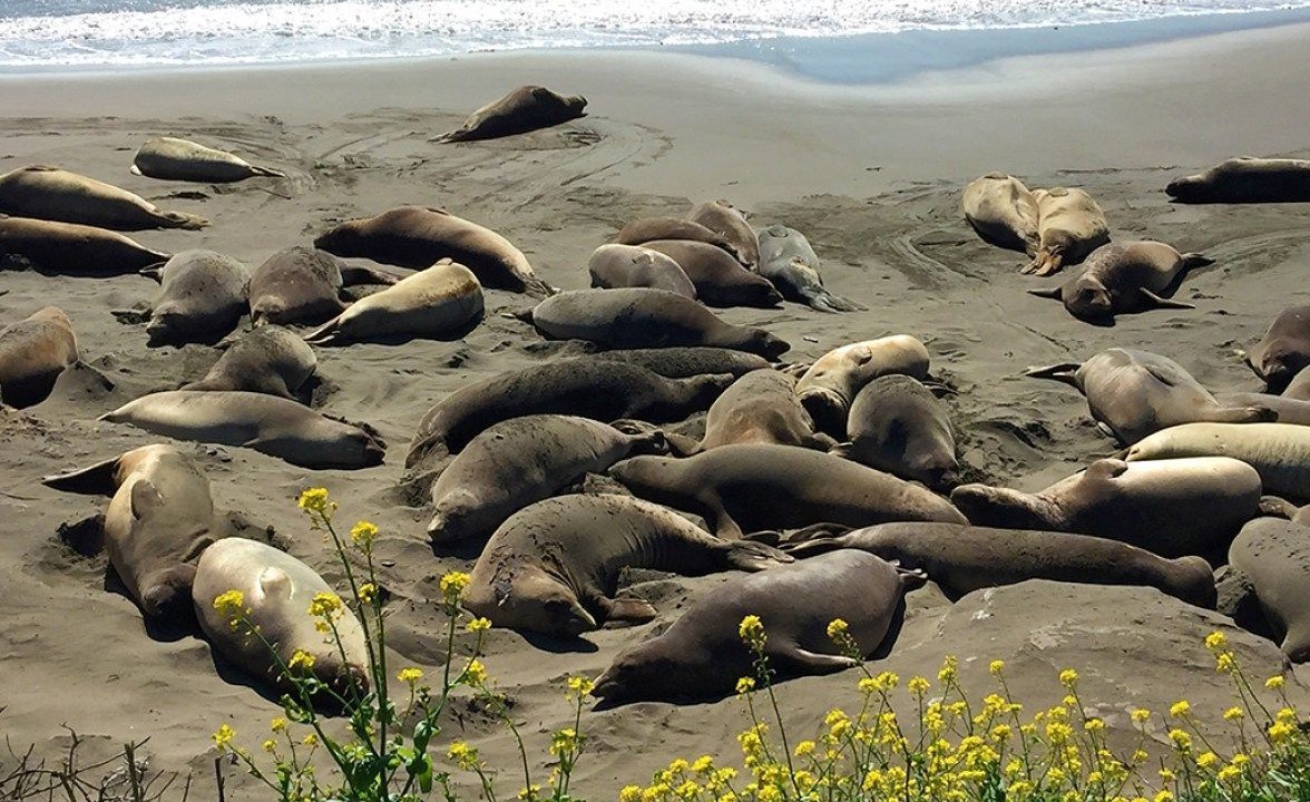 Photo of Others in San Simeon
