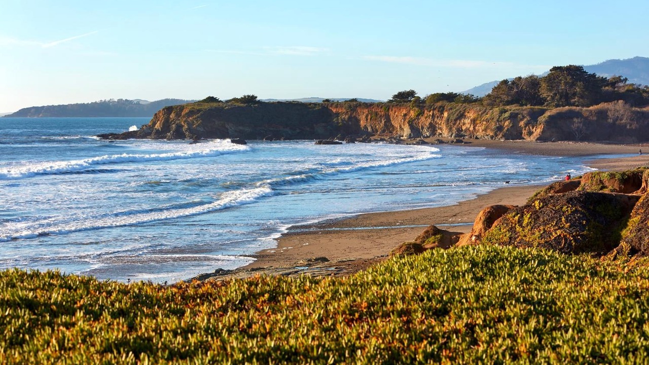 Photo of Others in San Simeon