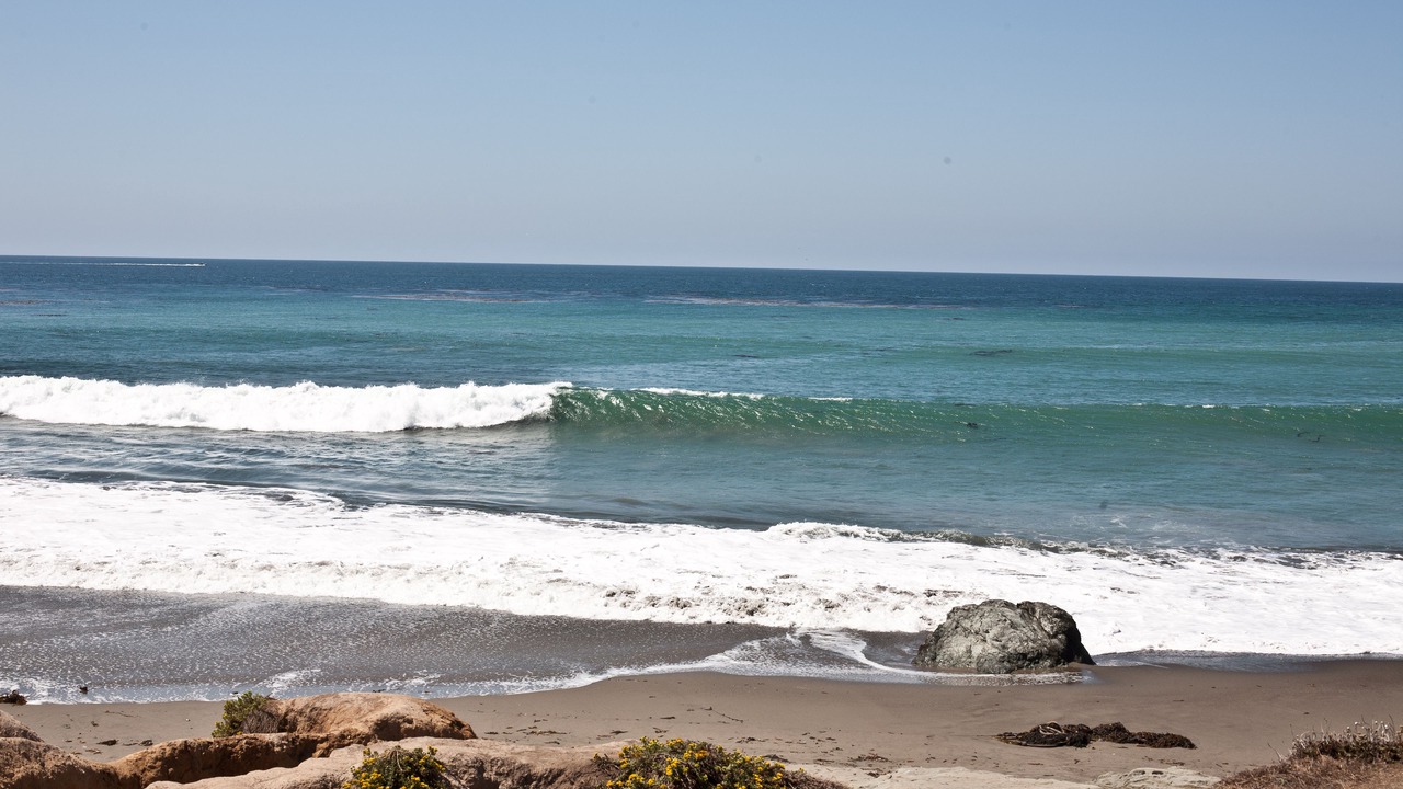 Photo of Others in San Simeon