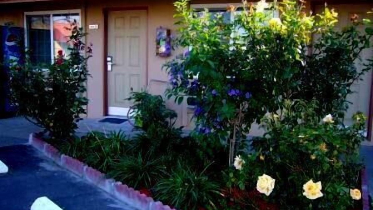 Photo of Outdoor in Los Banos