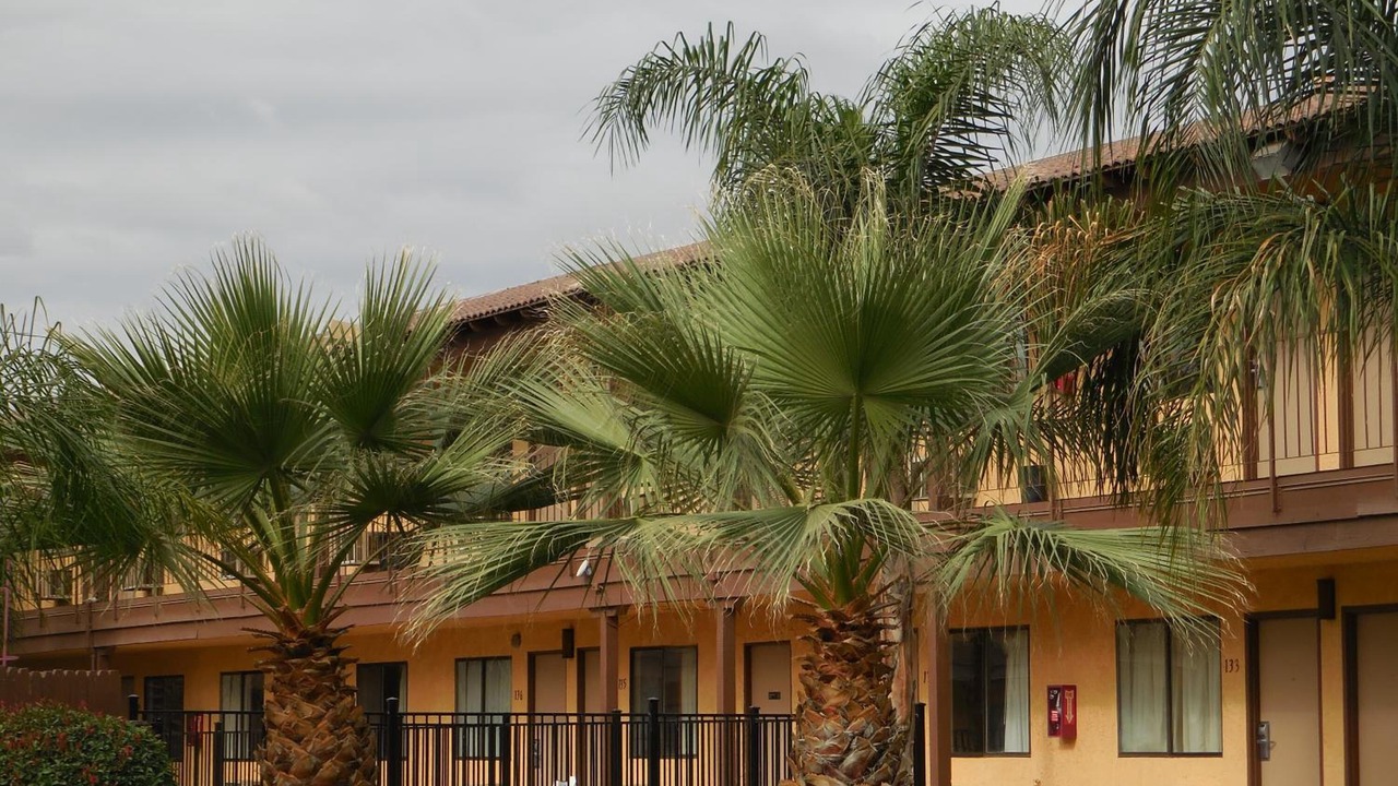 Photo of Outdoor in Oildale