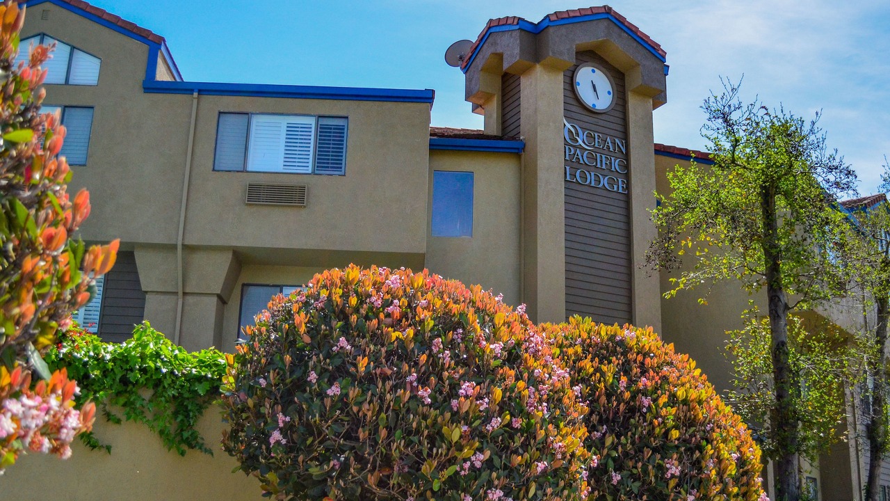 Photo of Outdoor in Westside Santa Cruz