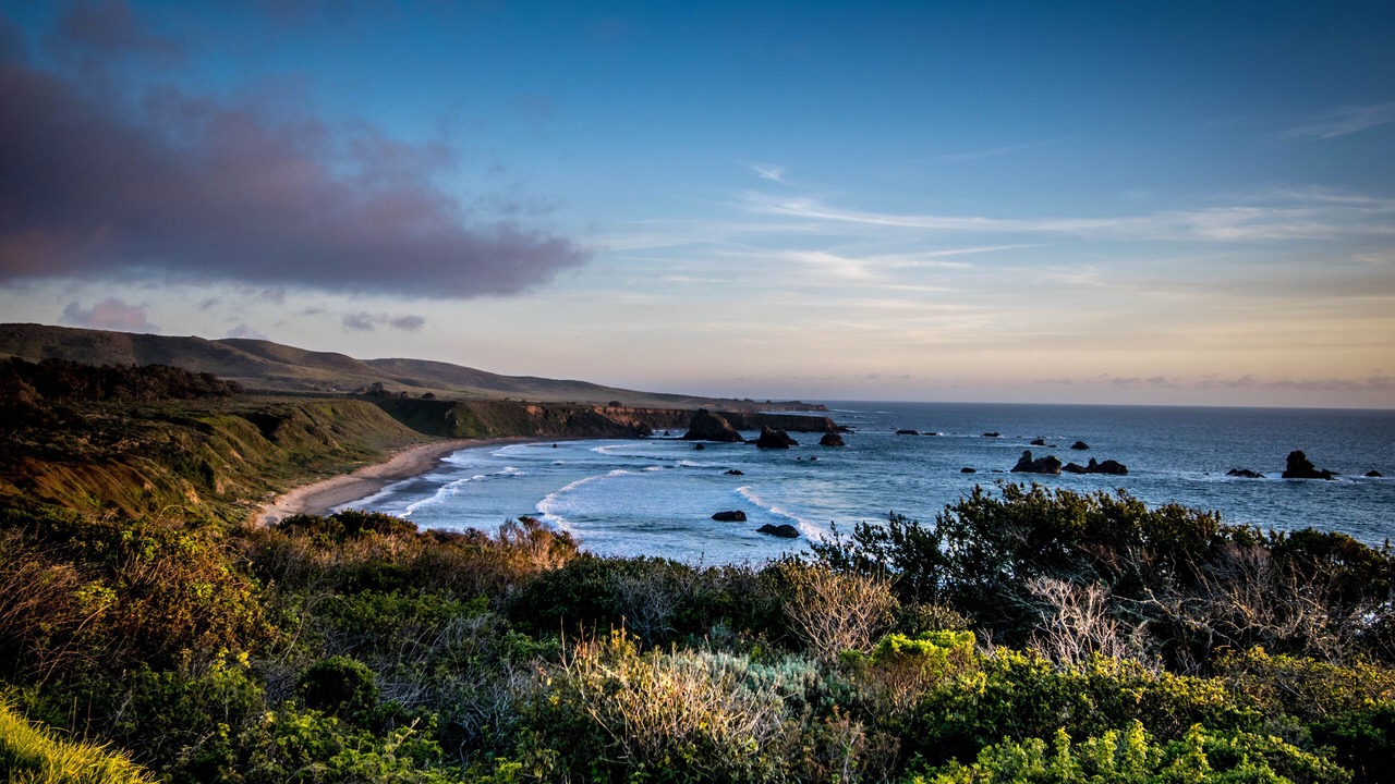 Photo of Others in San Simeon