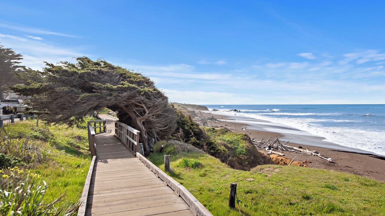 Photo of Others in San Simeon