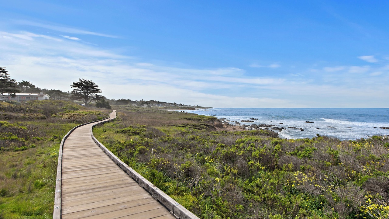 Photo of Others in San Simeon