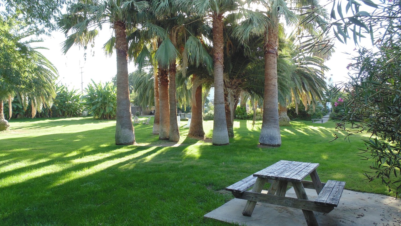 Photo of Patio Balcony in Lemon Cove