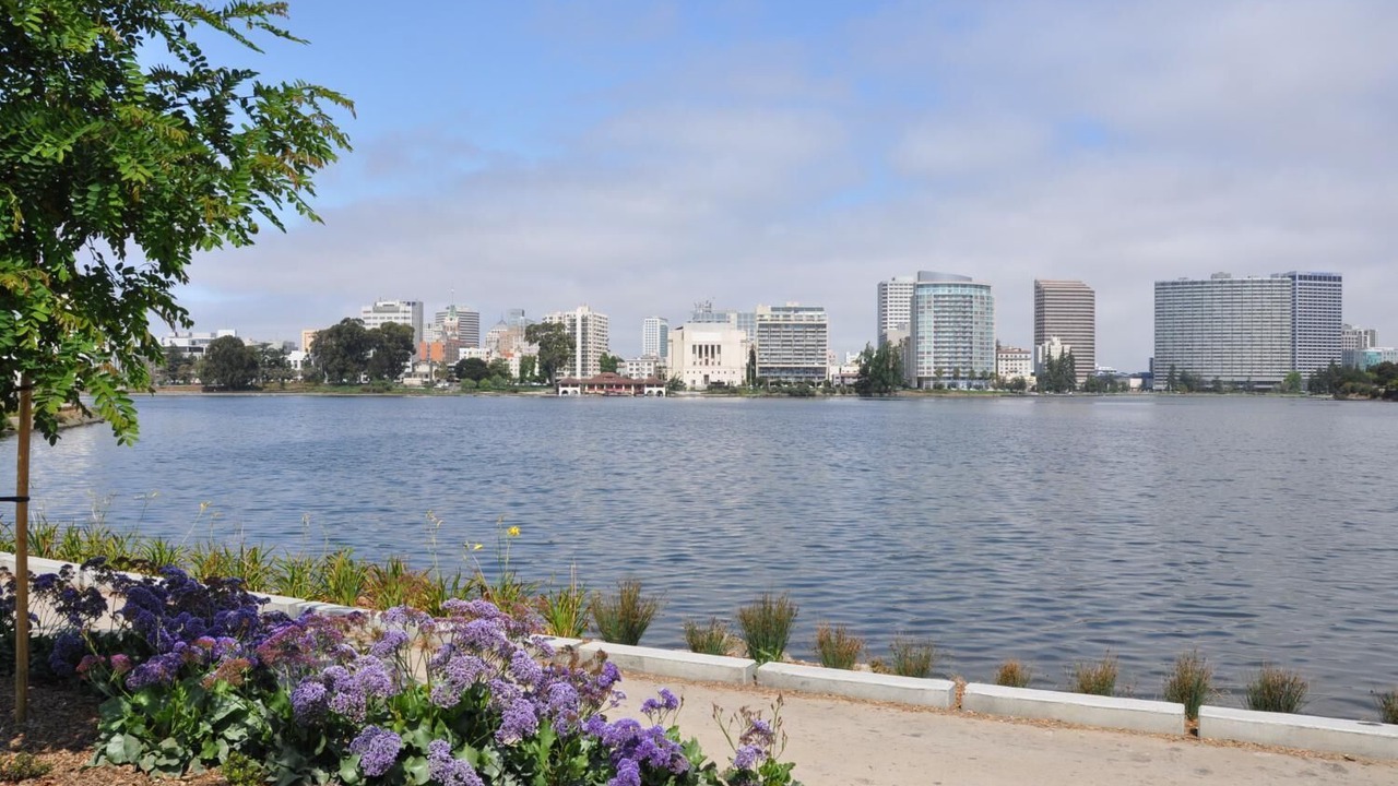 Photo of Others in Oakland