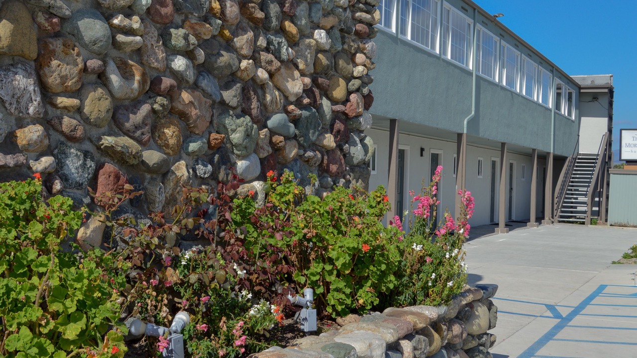 Photo of Outdoor in San Simeon