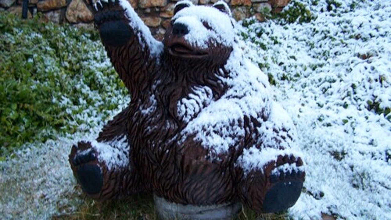 Photo of Outdoor in Oakhurst