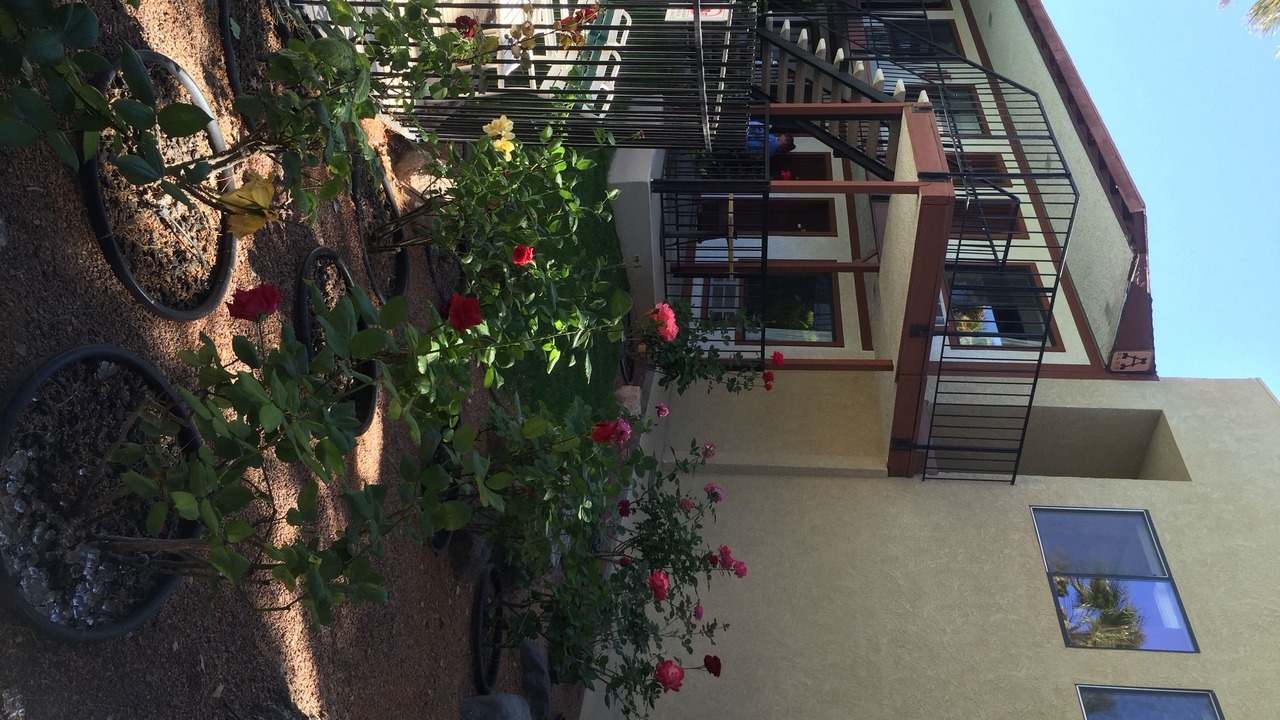 Photo of Outdoor in Pahrump