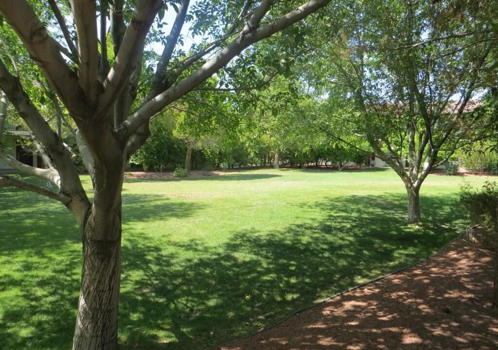 Photo of Outdoor in Pahrump