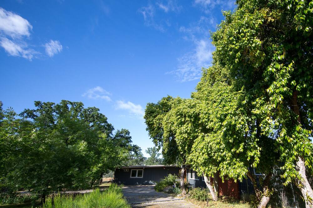 Photo of Outdoor in Mariposa