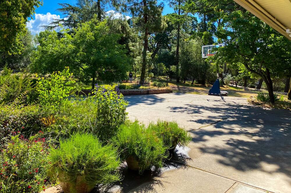 Photo of Outdoor in Mariposa